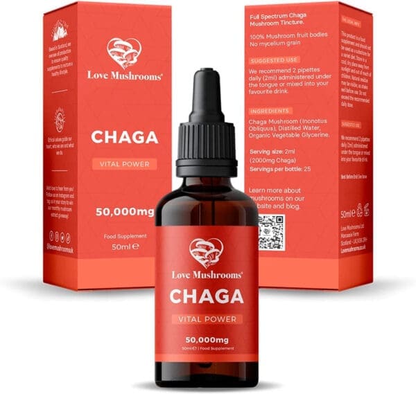 Gentle Digestive Support - Sip on Chaga Mushroom Tea for Comfortable Digestion After Meals