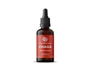 Bottle of Chaga supplement isolated on a white background, highlighting its purity and natural goodness.