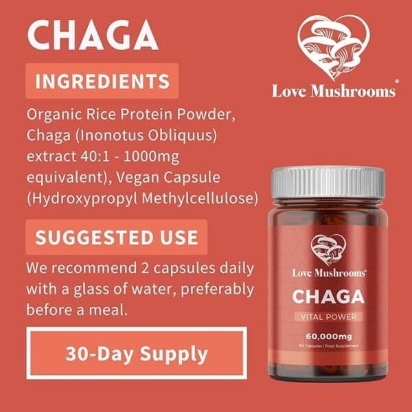 information about chaga capsules